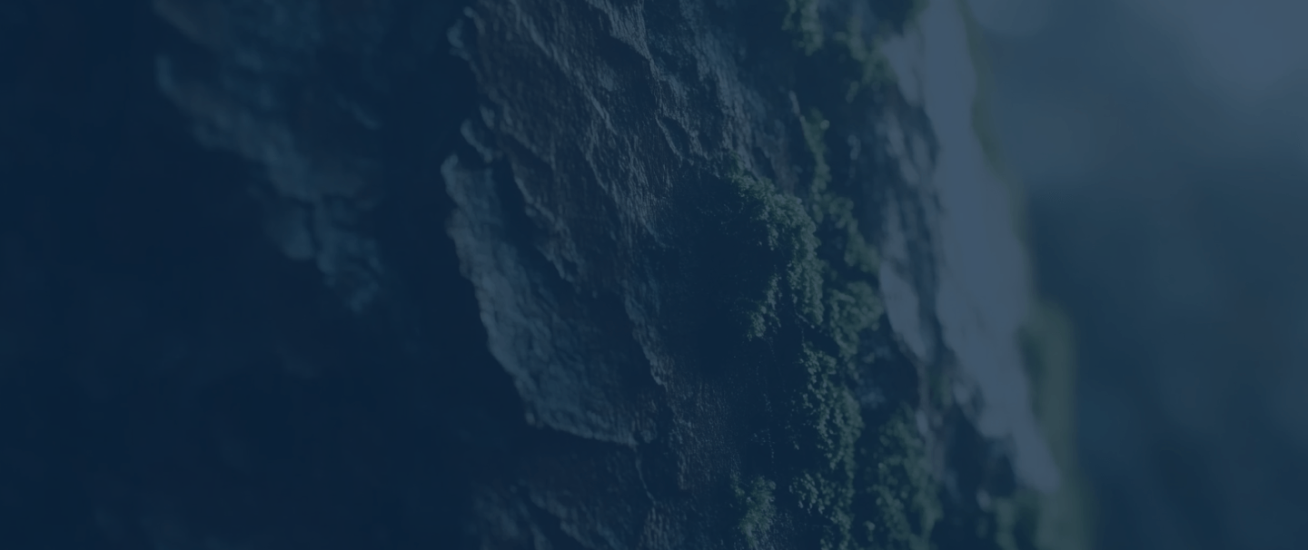 dark bark texture