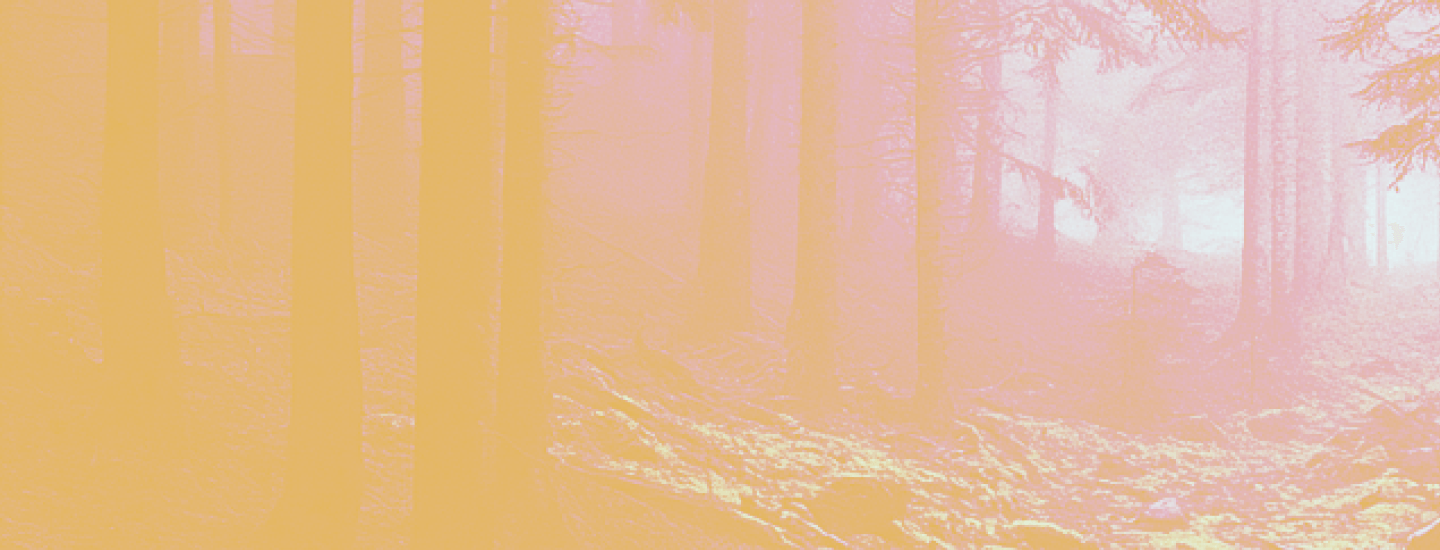pink orange image graphic
